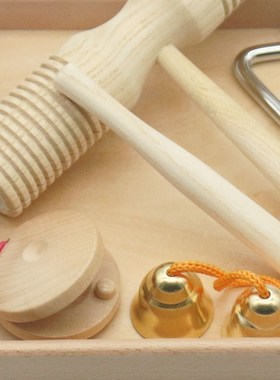 Wooden Montessori Instrut Set with Tray Orff Teaching Materi