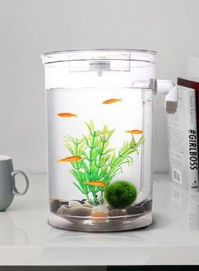 Ecological Fish Tank Small Aquarium Mini Goldfish Bowl