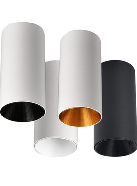 Surface Mounted Cylindrical LED Downlights Gold Reflector 20
