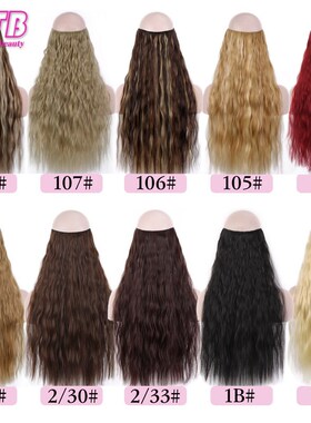 WTB No Clip in Hair Extensions 22'' Invisible Wire S