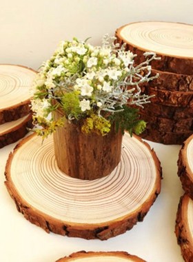 Thick Natural Pine Round nfinished Wood Slices Circles With