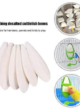 Cuttlefish Bone Bird Toys Pet Parrot Chew Toys Hanging Bell
