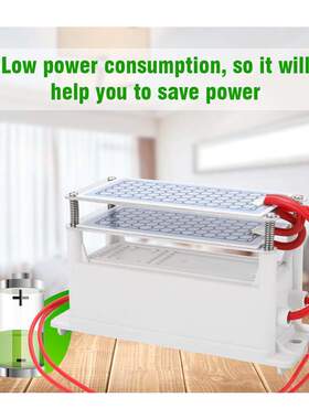 Portable 10g/h Ceramic Ozone Generator Double Integrated Pla