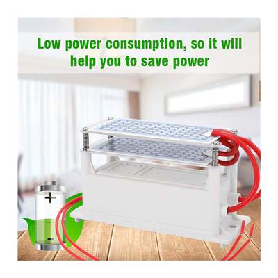 Portable 10g/h Ceramic Ozone Generator Double Integrated Pla