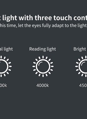 Adjudtable Gooseneck Multifunctional Touch Control USB Recha