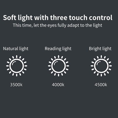 Adjudtable Gooseneck Multifunctional Touch Control USB Recha