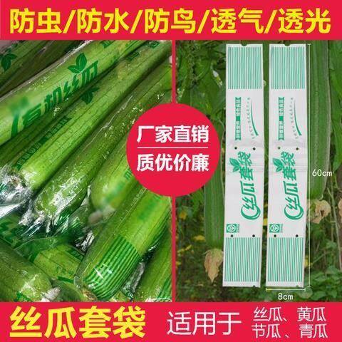 丝瓜套袋专用水果袋子黄瓜防虫防水苦瓜果蔬保护套瓜类农作物包y