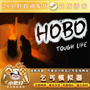乞丐模拟器 正版Steam激活家庭共享入库 Hobo Tough Life全DLC