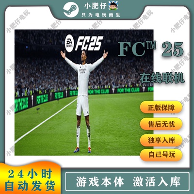 PC 正版 FC25 FIFA25 steam EA   终极版 包售后 20号解锁游玩