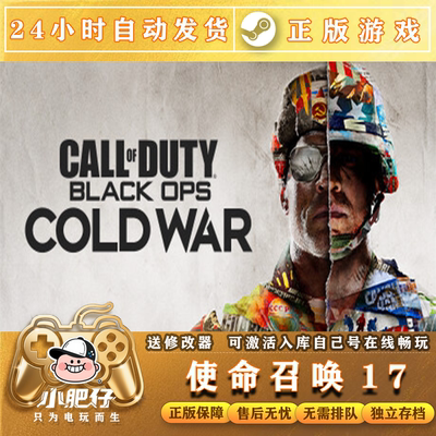 STEAM正版使命召唤激活码COD17/19/20/21/5/6/7/8单机剧情离线PC
