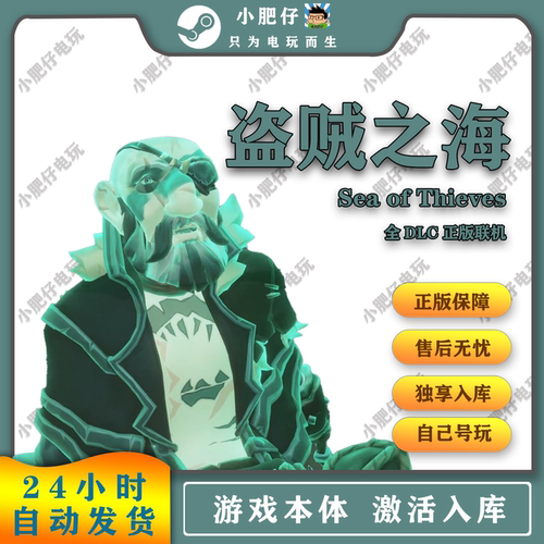 steam正版盗贼之海 家庭共享入库Sea of Thieves 在线联机全DLC