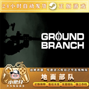 Steam正版游戏地面部队激活入库 Ground Branch 联机 汉化中文