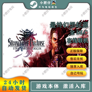 最终幻想起源 steam正版中文游戏 STRANGER OF PARADISE家庭入库