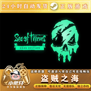 steam正版盗贼之海 家庭共享入库Sea of Thieves 在线联机全DLC