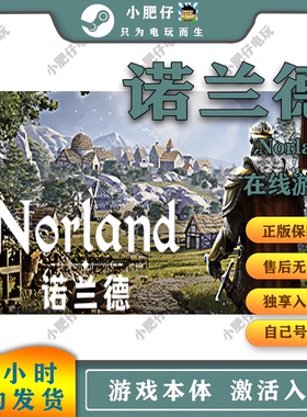诺兰德steam正版 PC电脑单机游戏 全DLC包更新 Norland 入库/离线