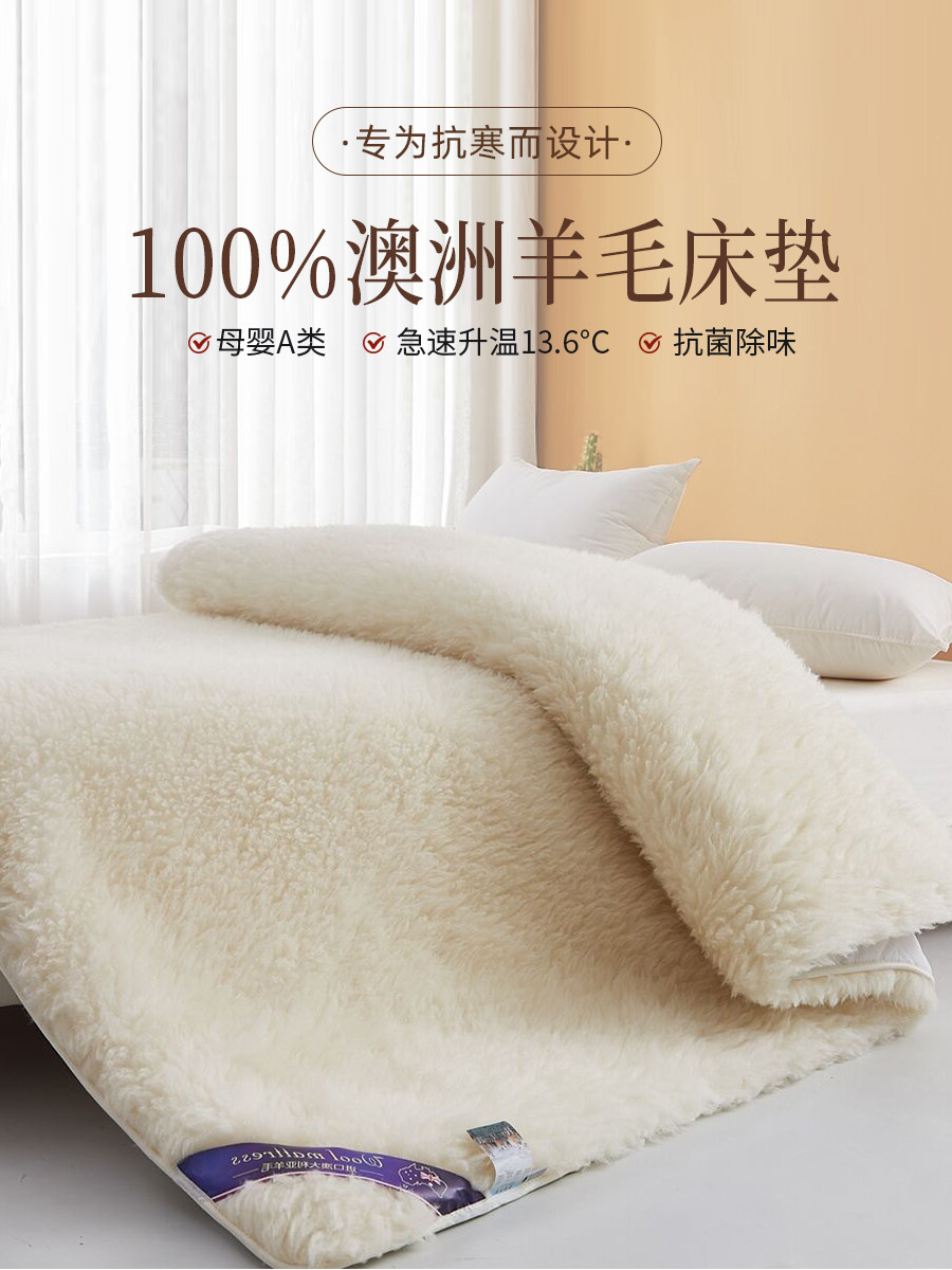羊毛床垫软垫家用卧室冬季羊羔绒毛毯单人冬天加厚保暖垫被床褥子