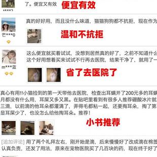 硼酸冰片猫狗滴耳液耳炎耳螨清洁除异味用冰片硼酸10ml 支5瓶装