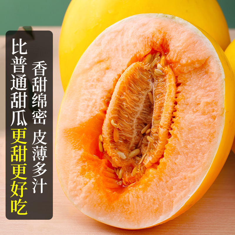 【不甜包赔！】黄河蜜瓜自然成熟