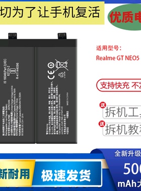 适用于Realme真我GT NEO5手机电池真我 neo5se BLP985 BLP991电池