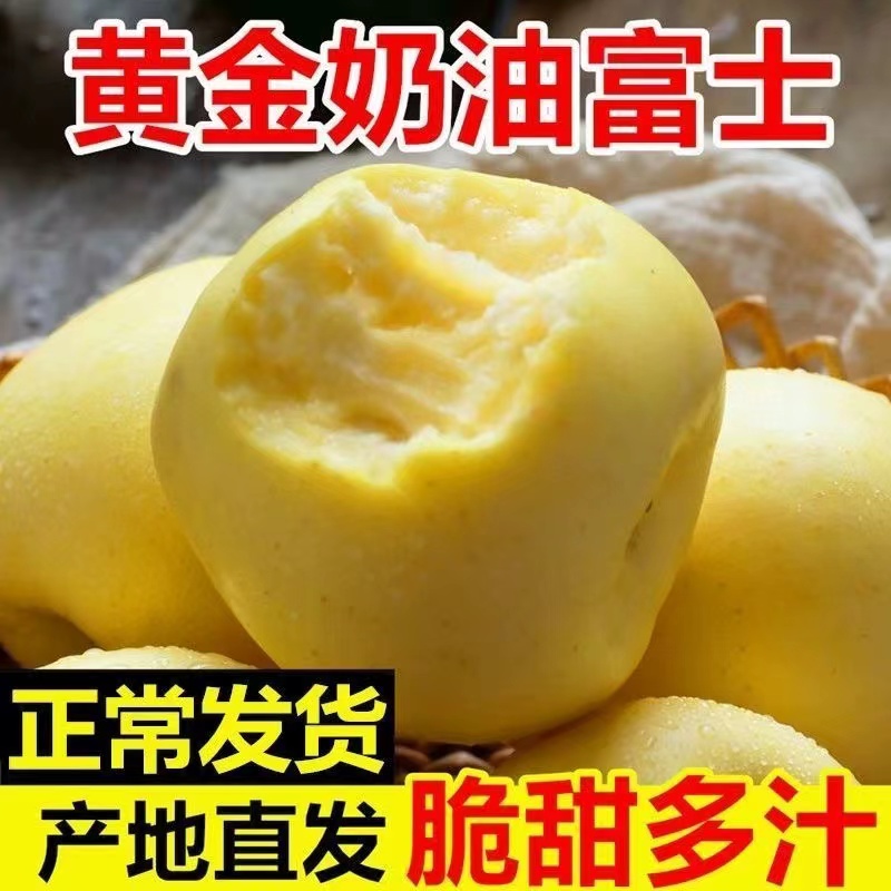 正宗山东烟台栖霞黄金奶油富士苹果一级大果脆甜多汁水果