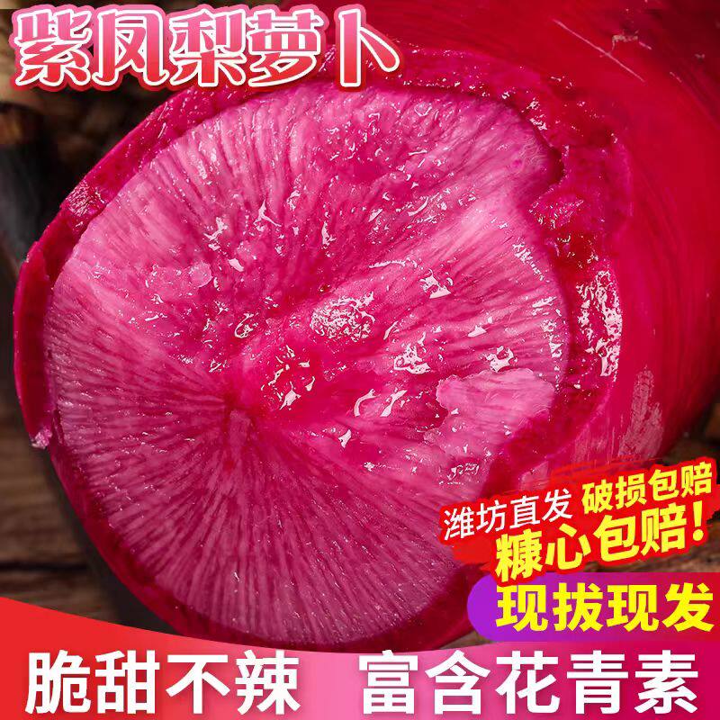 新鲜紫美人萝卜胭脂萝卜红皮红肉萝卜泡菜萝卜5斤红心萝卜