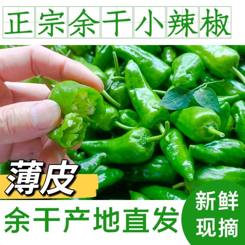 正宗余干辣椒新鲜 江西特产辣椒余干枫树农家土辣椒薄皮青辣椒3斤