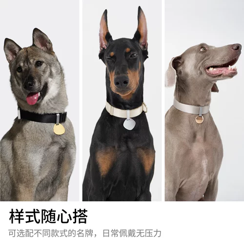 【Эксклюзивный вклад】 Buddyarmor Dog Sign Sign Pet Anti-Lost Custom Letterm
