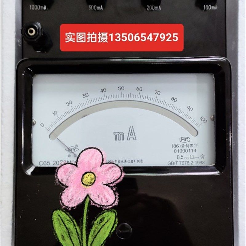 原装现货哈尔滨电表仪器厂C65直流多量程毫安表 0.5级 标准电表
