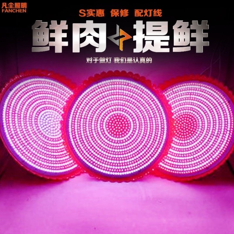 生鲜灯LED猪肉灯水果灯熟食灯夜市摆摊照肉灯超市场灯红白光加亮,农机/农具/农膜,灌溉工具,淘宝优惠券,粉丝福利购,淘宝优惠卷