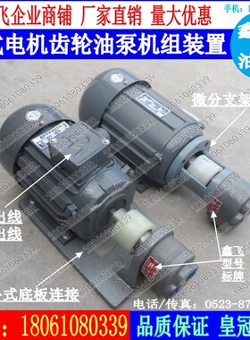 LWBZ-2.5/4/6/10 WBZ齿轮油泵电机组0.37KW 0.55KW 0.75KW