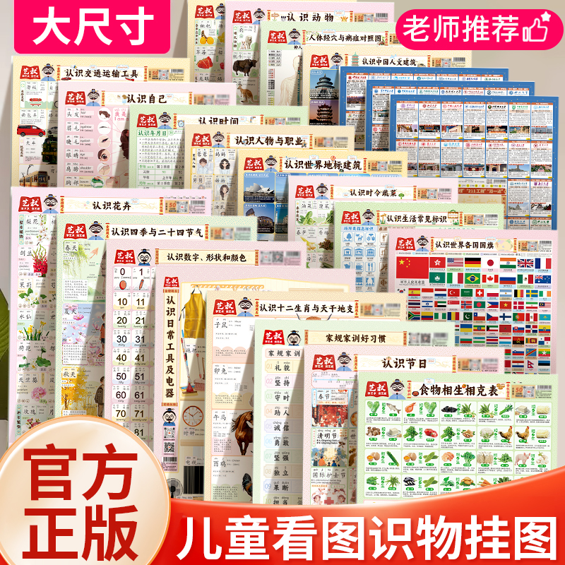 挂图  儿童看图识物挂图 幼小衔接知识挂图 幼儿早教学习书籍 早教无声学说话婴幼儿启蒙拼音识字卡墙贴 认识世界地标建筑认识时间