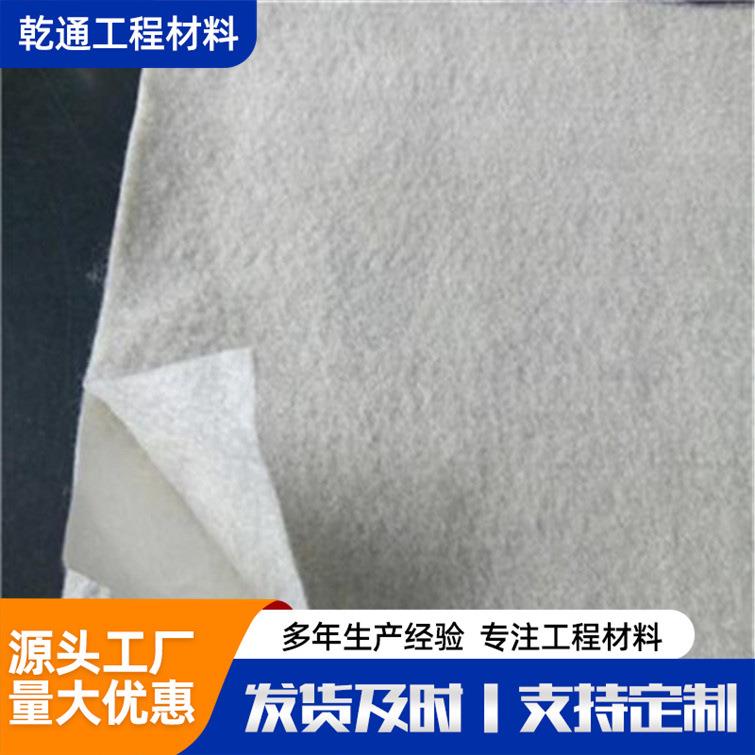 复合土工两一TLQ膜人工湖隧道用布 防渗土工布膜公路养护反滤土工