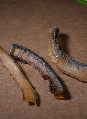 印度大块皮中药材养胃止血生肌