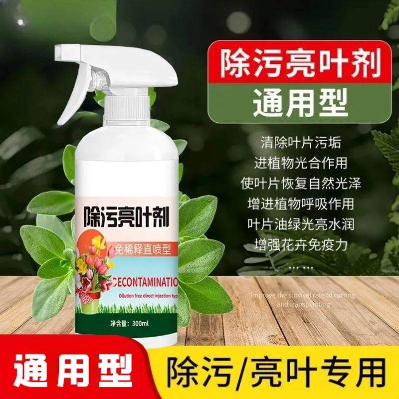 花卉除污亮叶剂一喷净植物叶面光亮清洁洗剂旗免稀释叶面肥料营养,鲜花速递/花卉仿真/绿植园艺,家庭园艺肥料,淘宝优惠券,粉丝福利购,淘宝优惠卷