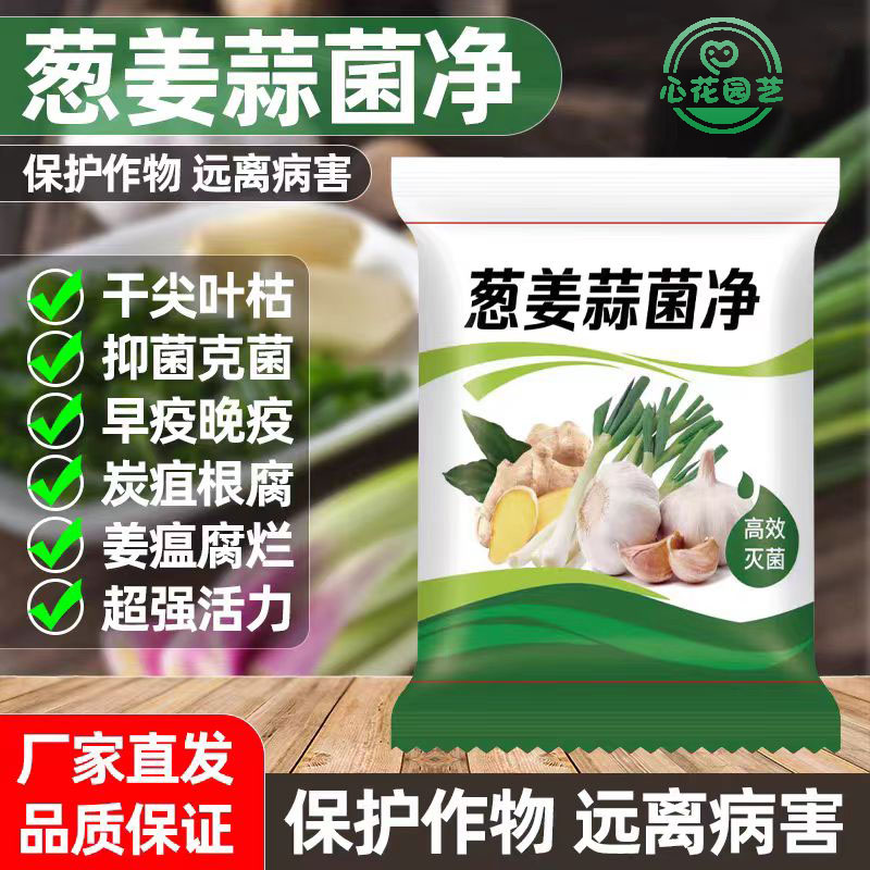 葱姜蒜菌净大葱大蒜姜专用微生物菌剂农用防治干尖黄叶灰霉疫病害
