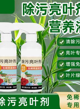花卉除污亮叶剂一喷净植物叶面光亮清洁洗剂旗免稀释叶面肥料营养