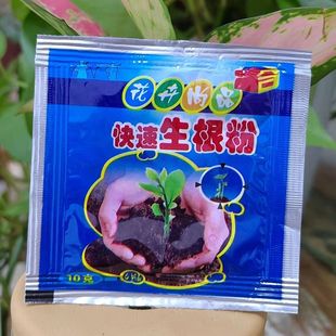生根粉快速发根生根扦插生根剂多俊零花卉植物通用肥料专用化肥