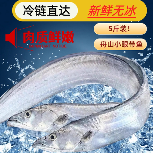 正宗舟山小眼带鱼东海鲜带鱼整条海鲜水产