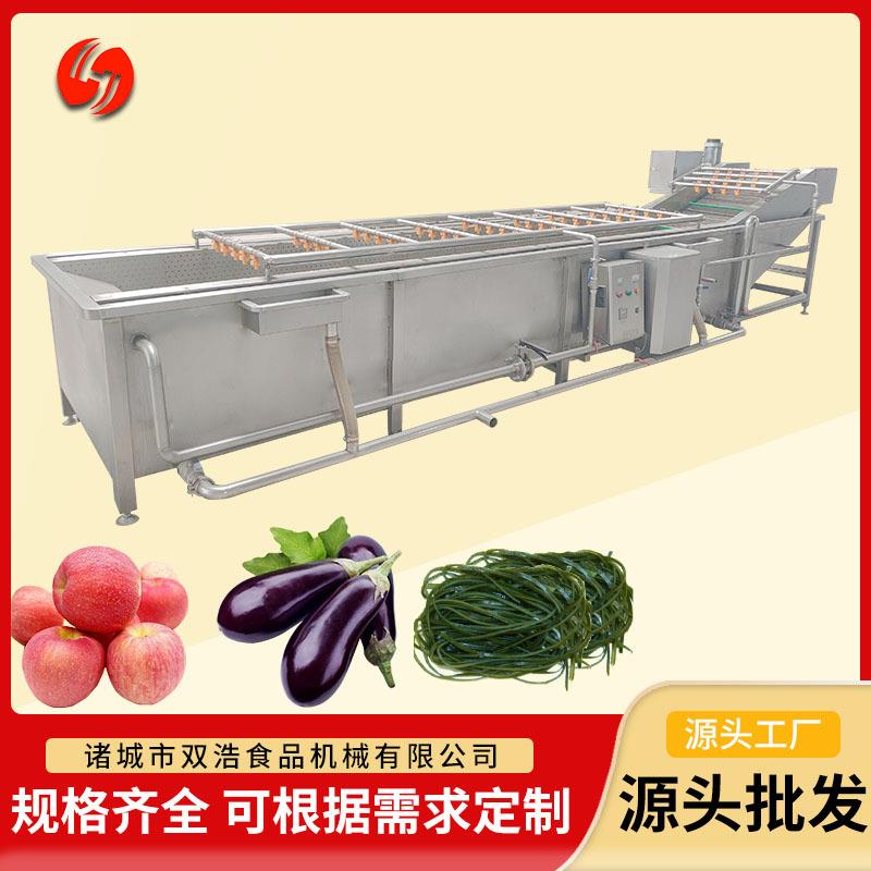 气泡清洗机大型果蔬辣椒西蓝花洗菜机商用清洗机菠菜鼓泡清洗机