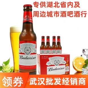 百威啤酒Budweiser国产小玻璃瓶装275ml 铝瓶酒行 湖北武汉仓发货