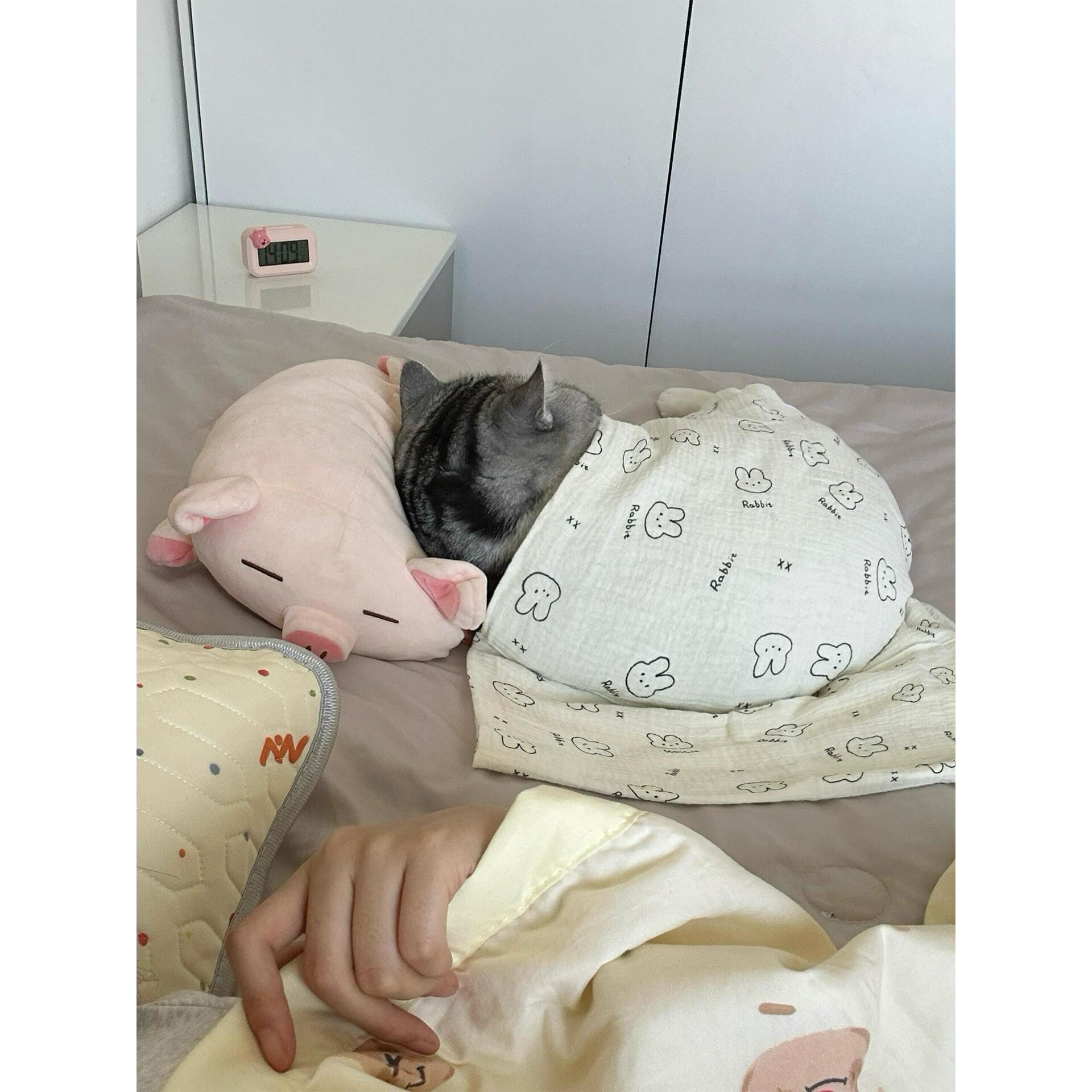 猫咪小毯子空调房防着凉空调被婴儿级纯棉亲肤保暖宠物春秋盖被