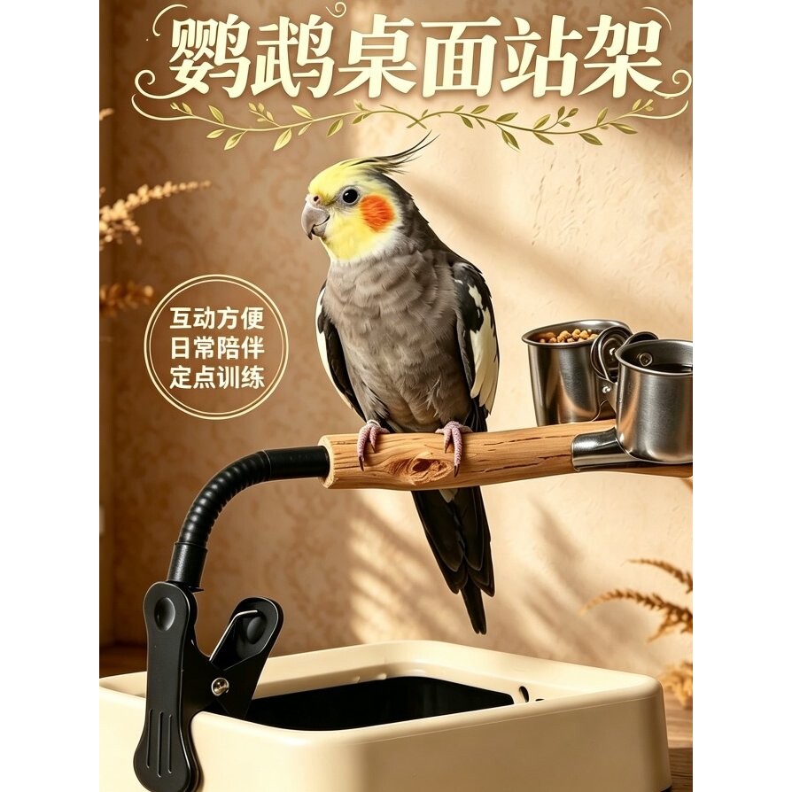 鹦鹉站架垃圾桶定点拉屎多功能杆花椒木夹子创意专用训练玄凤厕所