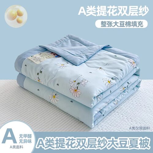 AB面双层纱大豆空调被夏凉被夏被羽丝棉被褥被芯宿舍学生被春秋被