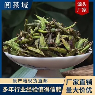云南野生白茶2025年新茶绿芽苞茶古树芽孢茶清香鲜甜野韵古树白茶