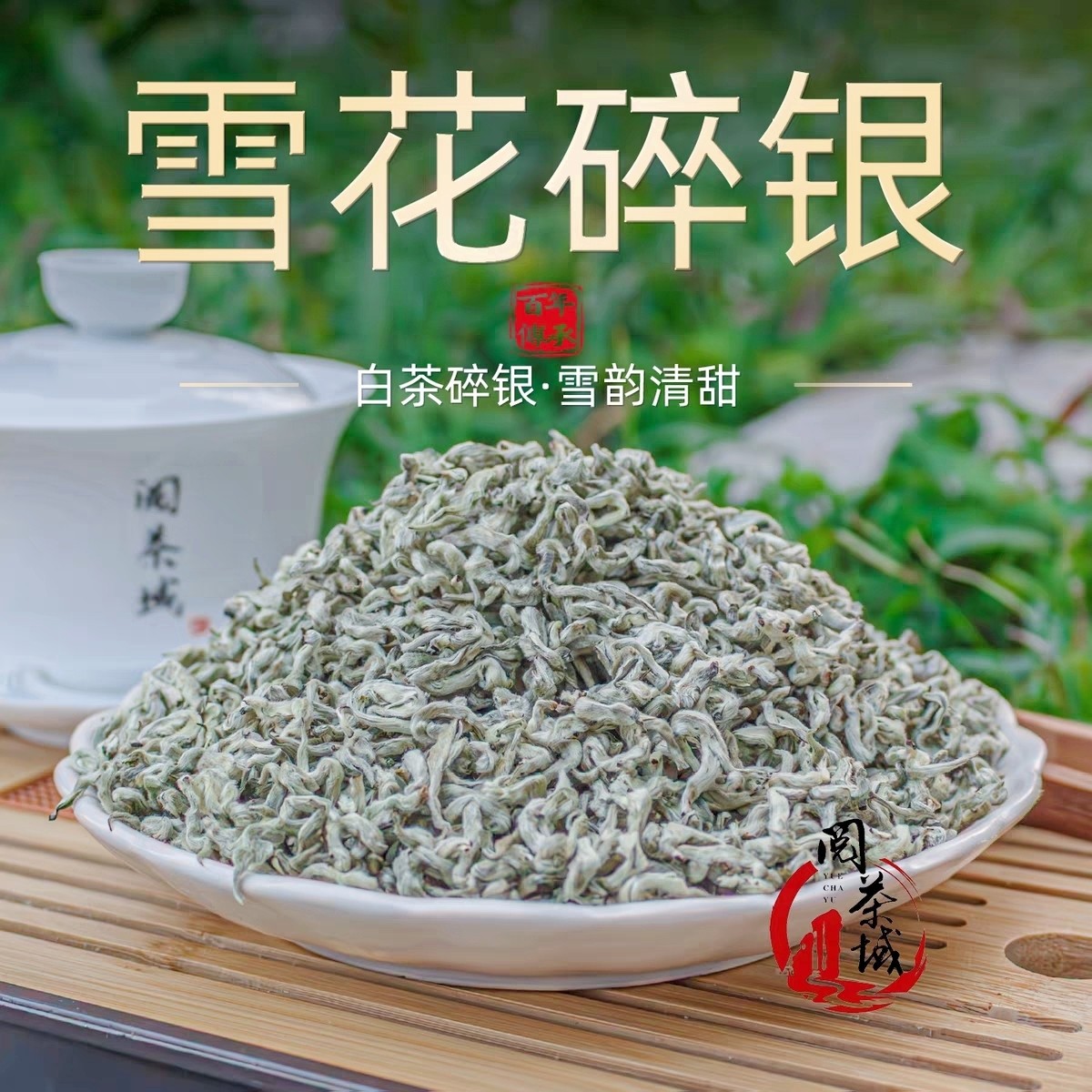 精品雪花碎银子高档云南绿茶高香全芽绿茶嫩芽尖滇绿云南春尖新茶