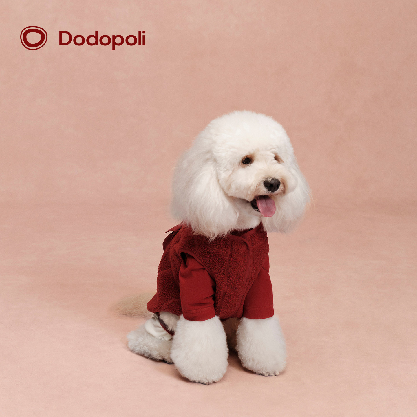 Dodopoli x Hato【圣诞新年限定】摇粒绒宠物狗马甲喜庆保暖背心,宠物/宠物食品及用品,狗宠物服装/雨衣,淘宝优惠券,粉丝福利购,淘宝优惠卷