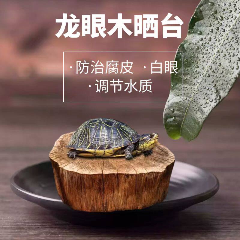 免煮天然龙眼木晒台水龟造景装饰防腐皮白眼调节水质乌龟平台