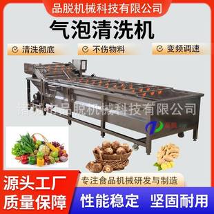 鼓浪清洗机气泡式清洗设备果蔬气泡清洗机全自动香菇清洗机