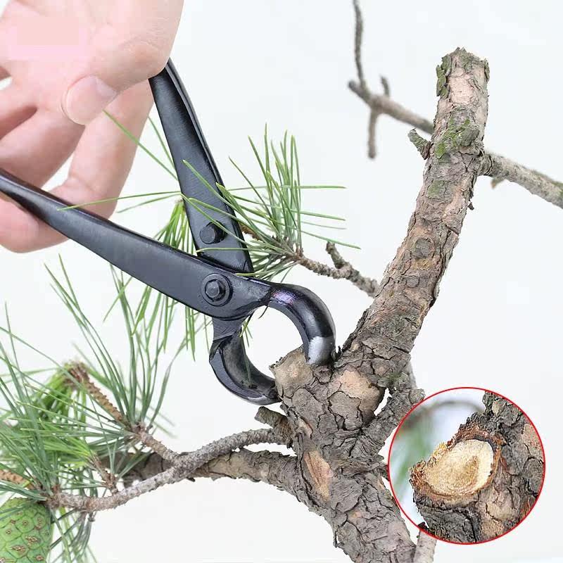盆景专用工具盆栽修剪造型花艺师园艺造型养护剪刀破杆钳剪枝刀