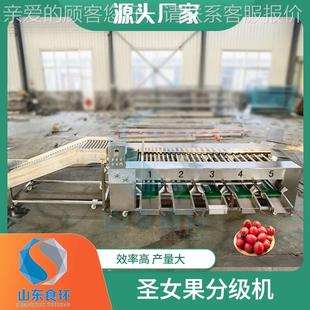 果蔬水果选机 柑橘芒果分分 不伤果农分ILL产品橙子沃机柑拣选果